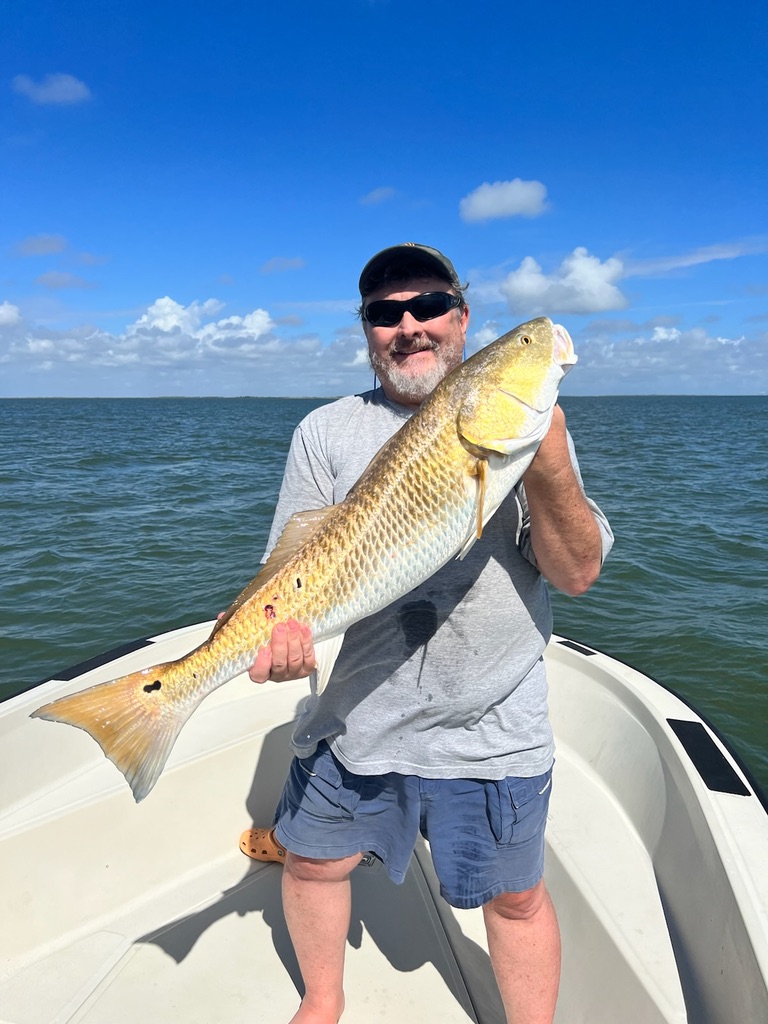Redfish caught in Galveston Bay